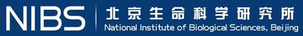 北京生命科学研究所.png